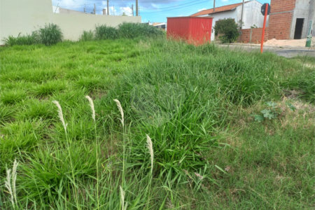 Terreno com 250,00 m² .
