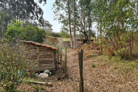 Ribeirão Grande - Bairro ferreira dos Matos - Sítio de 30.000 metros - R$ 600.000,00