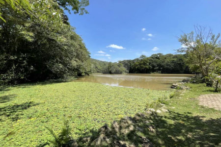 Casa de Alto Padrão à Venda e Locação - Condomínio Vila Verde
