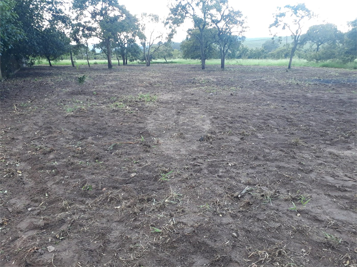 Terreno com 2.012,00 m² .