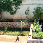 Casa á venda no residencial Samambaia