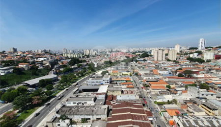Apartamento à venda com 3 quartos, sendo 1 suíte, em Limão, São Paulo, SP