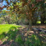 3021 m² de área para construção de chácara