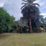 Chacara a venda Bairro Santa Rita - Piracicaba/SP