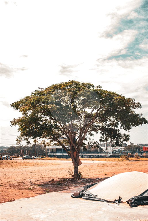 Terrenos Estratégicos – Avenida Getúlio Vargas | 9.262,02 m² (Potencial: 11.437,80 m²)