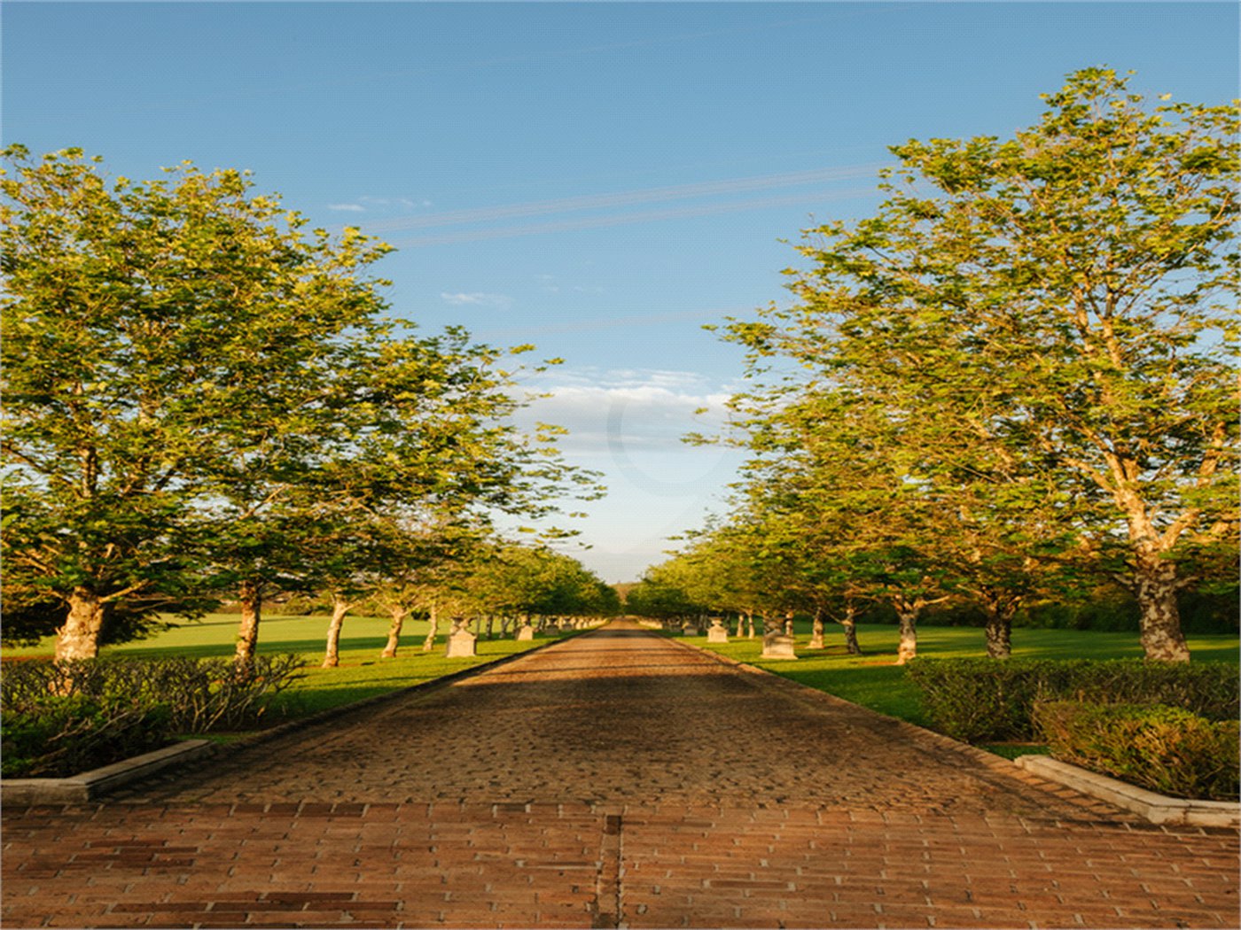 O Reserva Itanhangá nasce com um paisagismo exuberante e já formado, onde o replantio manterá a sensação, a paisagem e a estética que a propriedade proporciona atualmente. O empreendimento está em uma ótima localização, com acesso através de uma ampla avenida, junto ao Helvetia e seus campos de polo