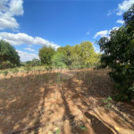 Excelente sitio para venda.