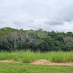 Terreno a Venda em Atibaia no Condomínio Elementum