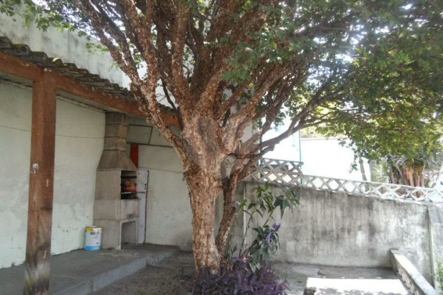 Casa Térrea à venda com 3 quartos em Jardim São Paulo(zona Norte), São Paulo, SP
