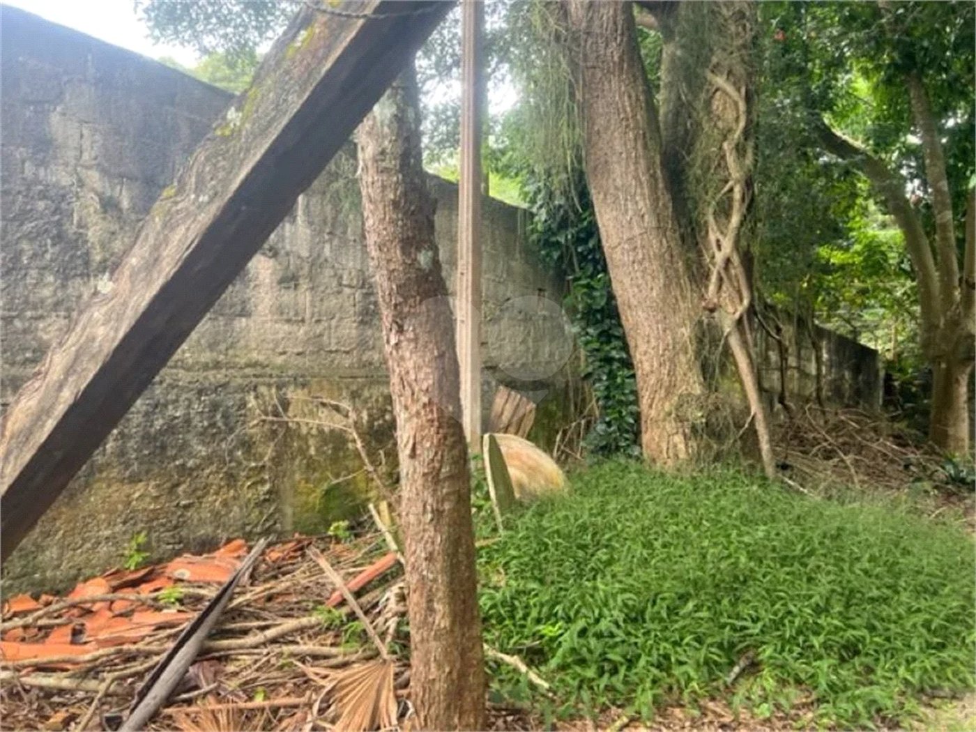 Vendo Terreno de 290m2 rua do Horto para sua casa ou investimento