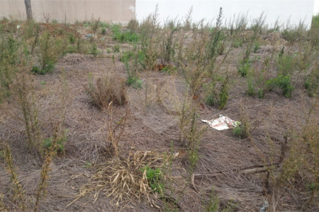 Lote no Jardim do Bosque, aceita financiamento ou aquisição de terreno e construção .