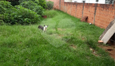 Terreno à venda em Cidade Aracy, São Carlos, SP