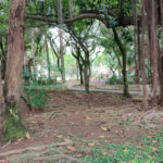 Apartamento Alto Padrão Lazer Completo ,com 3 quartos, 250 m² à venda Parque da Mooca.