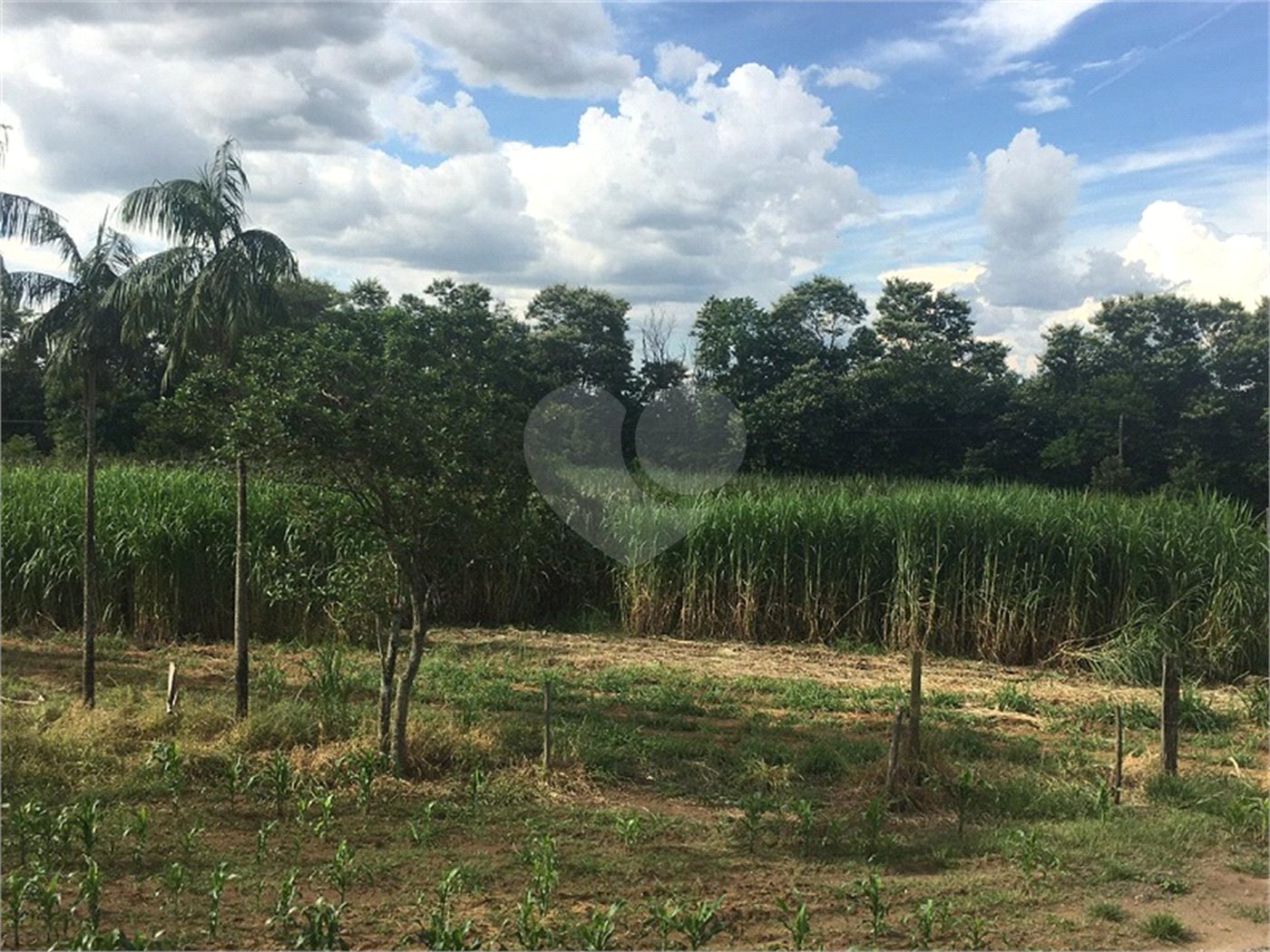 Chácara no Condomínio Itaipu