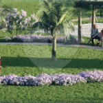 Residencial Uninorte