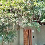 Sobrado Tremembé | 450m² | 3 Suítes | 4 Vagas | Espaço Gourmet | Lazer Completo