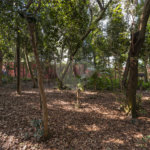 Apartamento à venda com 3 quartos, sendo 1 suíte,  em Vila Mascote, São Paulo, SP