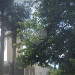 LOJA NA RUA AUGUSTA - JARDINS