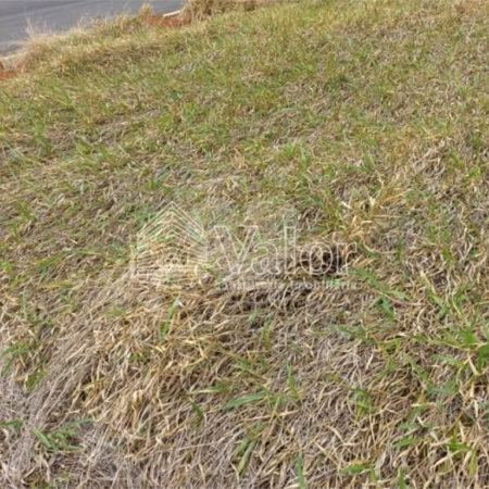 Terreno plano no Condomínio Villeneuve, com 250,00 m² de área total.