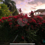 Chácara no Condomínio Vale das Laranjeiras em Indaiatuba SP - Venda - R$ 3,600.000,00 - Locaçao - R$ 30.000,00 mais encargos - Linda, espaçosa, aconchegante, acabamento de alto padrão em rua tranquila e arborizada, em um dos Condomínios mais valorizados de Indaiatuba. Com fácil acesso as principa