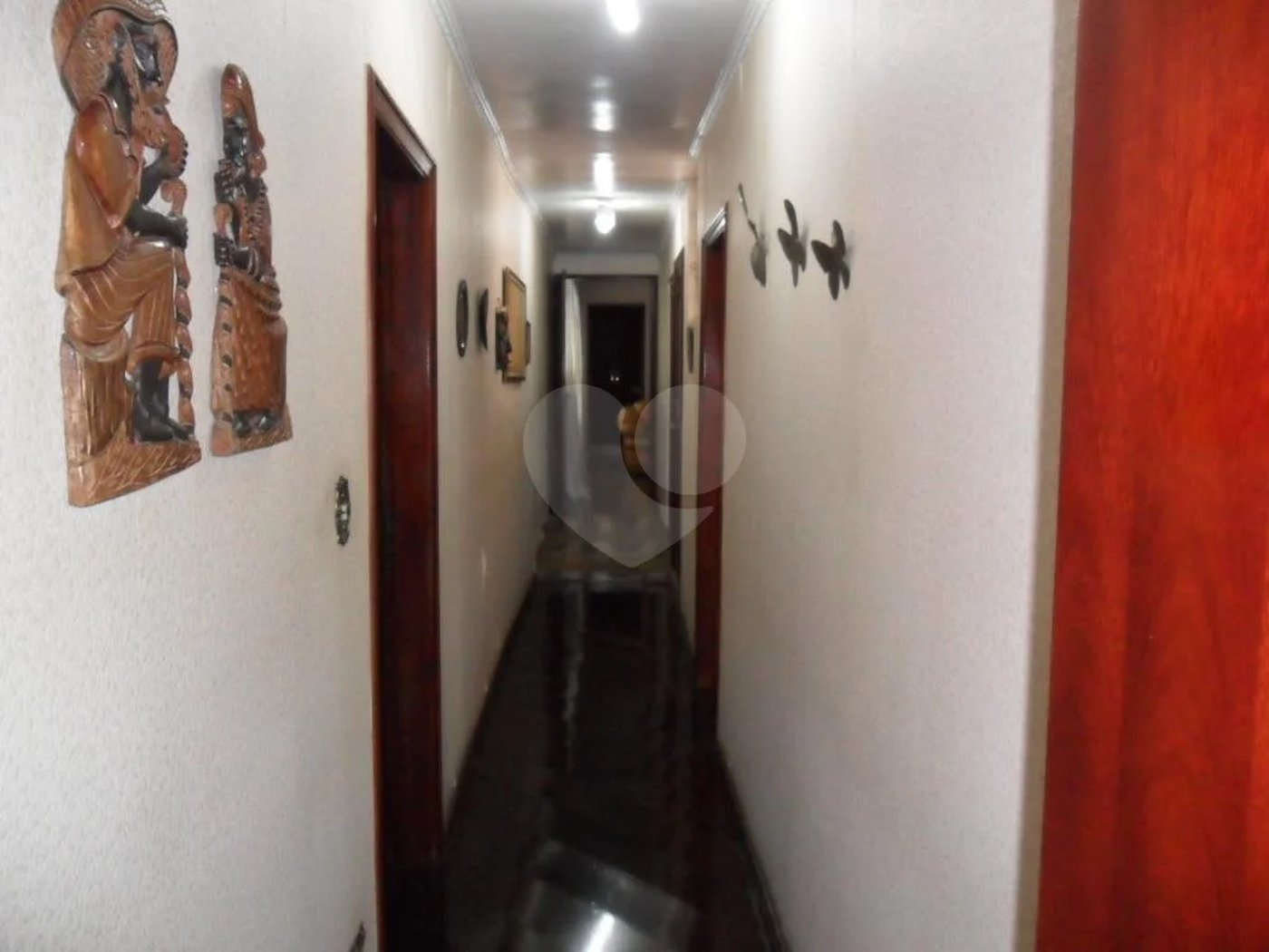 Exuberante no Horto Florestal
