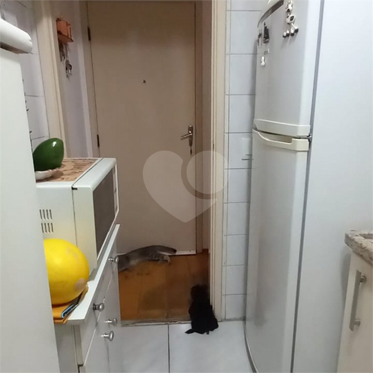 Lindo apartamento Aconchegante com 3 dormitórios, sendo 1 suíte-Venha Conhecer ! Ruaís Cunha, 285 - Vila Pirituba, São Paulo - SP