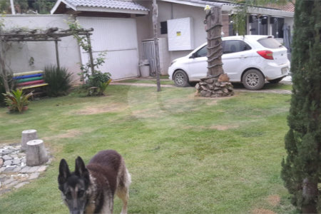 Chácara em Área Rural de Piracaia, com casa principal + 4 kitnets alugadas, excelente localização