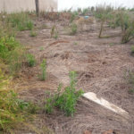 Lote no Jardim do Bosque, aceita financiamento ou aquisição de terreno e construção .