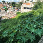 Terreno à venda em Vila Polopoli, São Paulo, SP