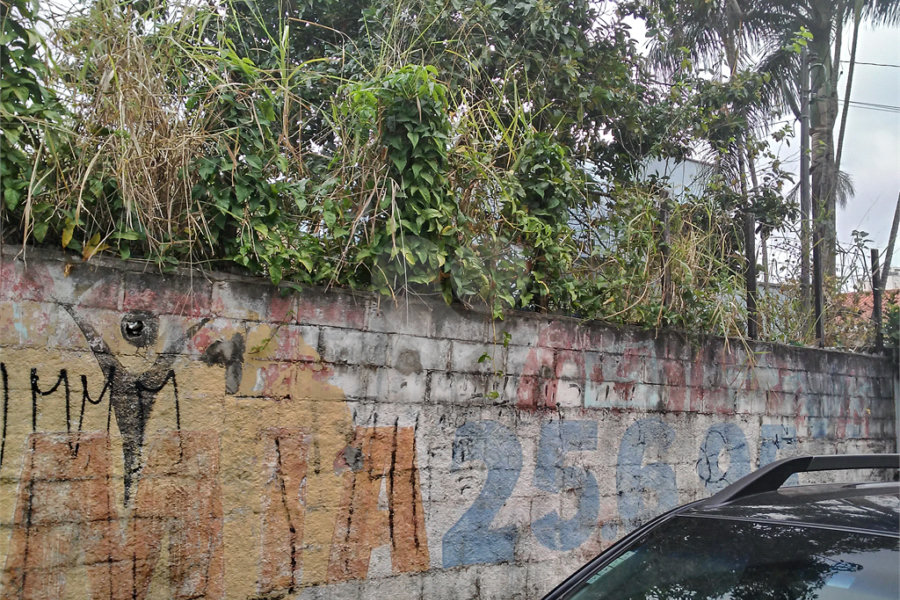Terreno Barro Branco