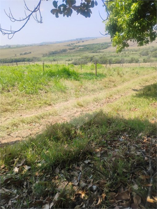 Excelente Sítio à Venda em Monte Mor – SP