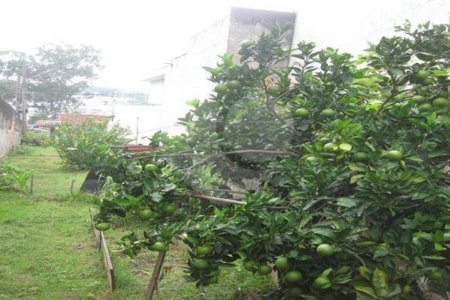 Casa á venda - Jabaquara