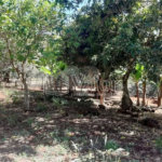 Sitio São João - Km 258