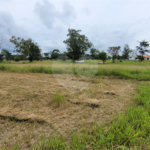 Loteamento Residencial no Condomínio Vila Pinhal do Broa.