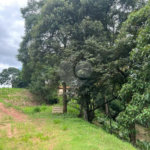 Terreno à venda em Monterrey, Louveira, SP