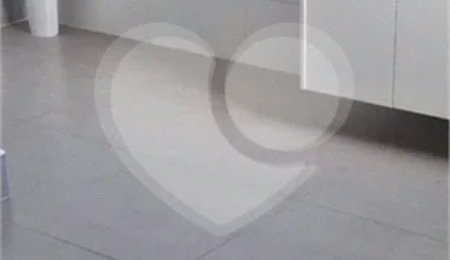 Apartamento para alugar com 1 quarto em Santana, São Paulo, SP
