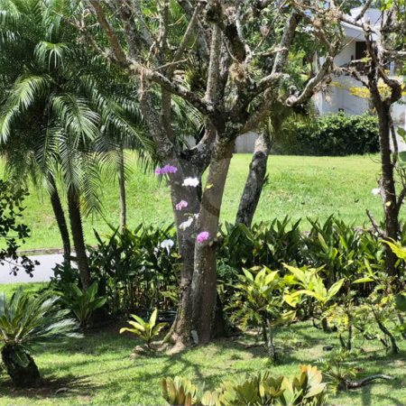 Casa a venda ou locação no Tamboré 1
