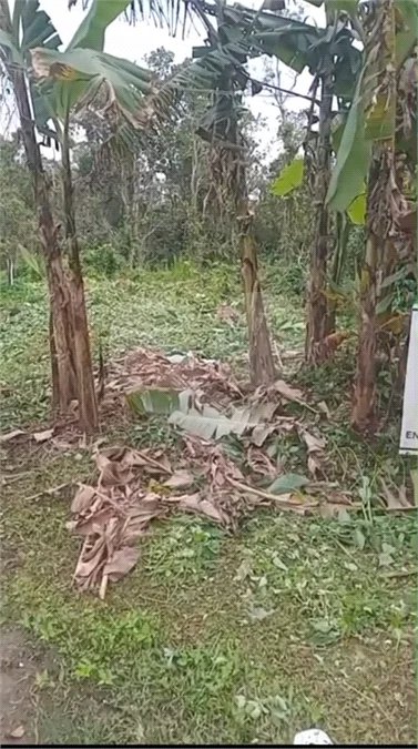 Terreno à venda em Costa do Sol, Bertioga, SP
