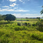 SÍTIO A VENDA - BELA VISTA