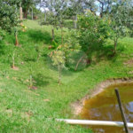 Chácara à venda na cidade de São Pedro - SP no bairro Vertentes das Águas - Refúgio Natural a 30 Minutos de Piracicaba - 5.000 m2