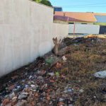 Terreno à Venda de 253 m² em Bairro em Desenvolvimento – Excelente Localização Próximo ao Comércio