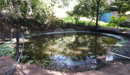 Sítio à venda com 4 quartos em Área Rural de São João da Boa Vista, São João da Boa Vista, SP