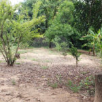 Sitio para venda.