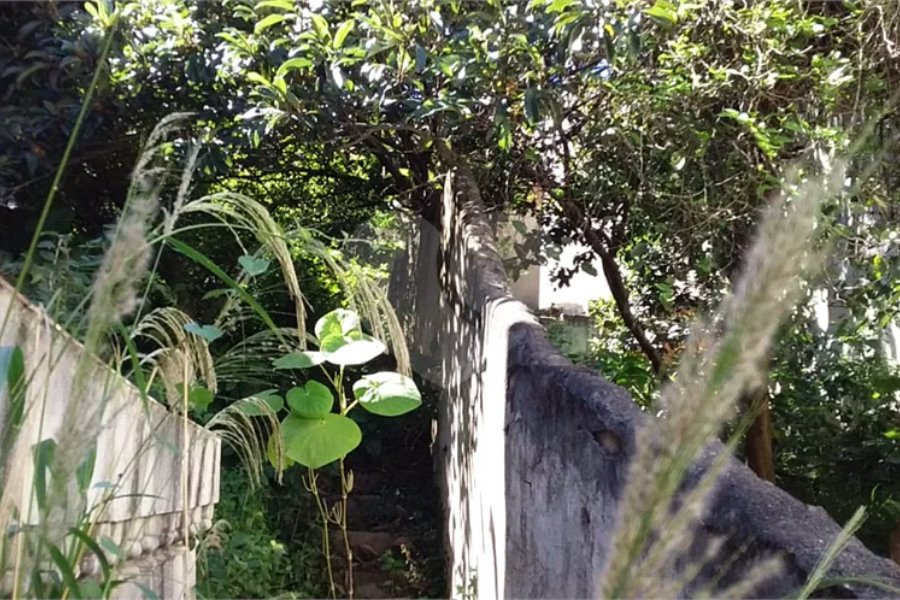 Terreno para alugar em Água Fria, São Paulo, SP