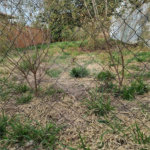 Terreno à Venda no Bairro Samambaia – Ótima Localização Residencial