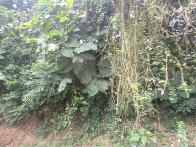 Terreno à venda em Mantiqueira, Mairiporã, SP