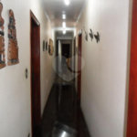 Exuberante no Horto Florestal