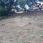 Terreno com 453,50 m² de área total.