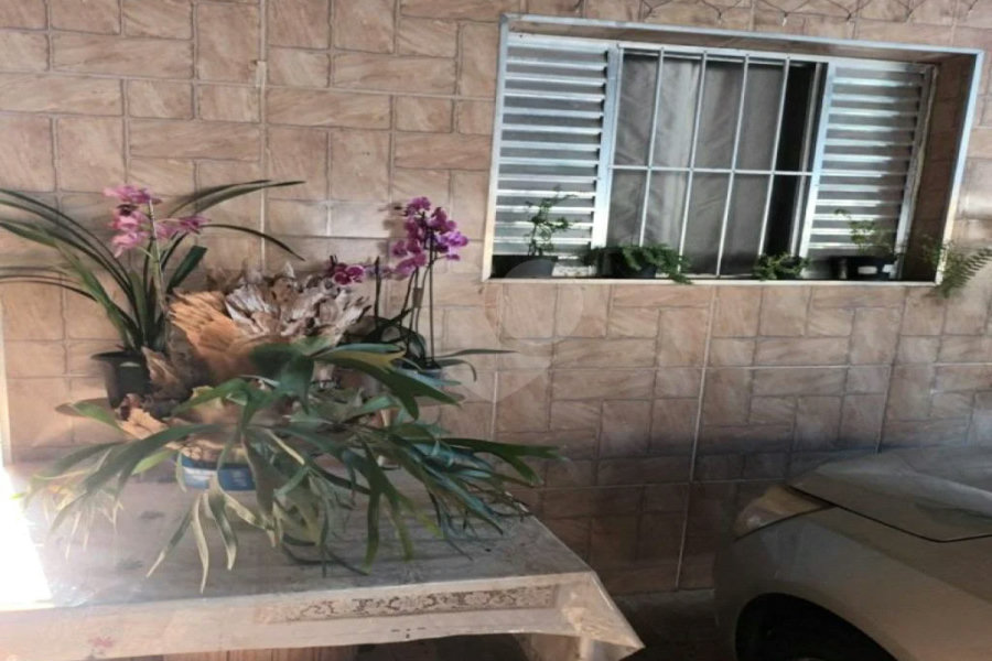 Terreno grande com 2 casas em São Paulo! Casas bem arejadas.
