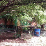 Terreno com uma casa antiga